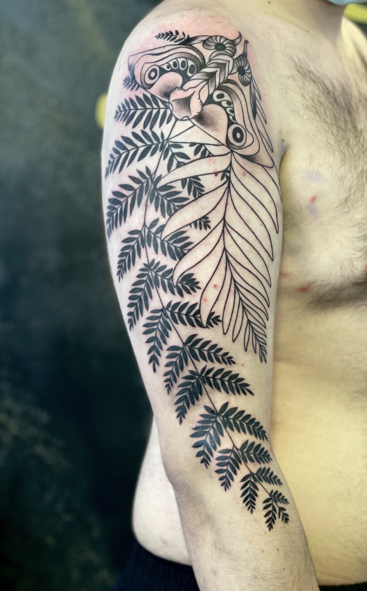Ellie's Moth – The Last of Us Tribute — Fine Line / Lettering Tattoo von Elisabeth Gerendai, V Tattoo & Beauty Art (Aargau, Schweiz)